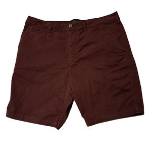 Mens American Eagle Outfitters Shorts Size 36